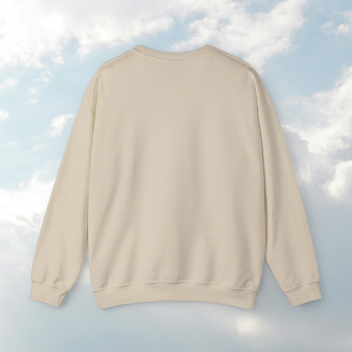 Motivational Crewneck Sweatshirt - Cozy Top for Gym, Self-Care, Fitness, Gifting, Inspirational Style